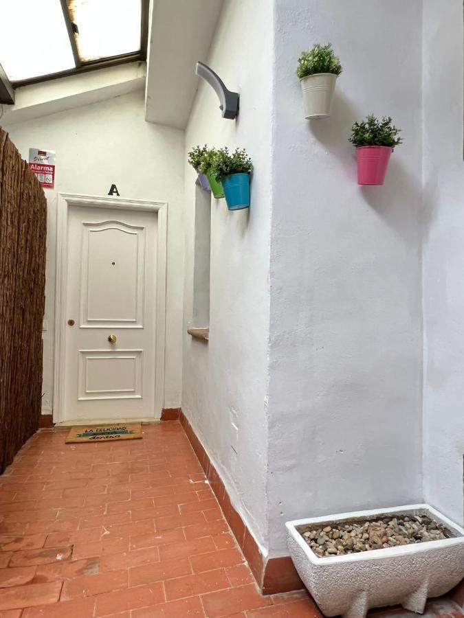 Apartment Atico Plaza Circular